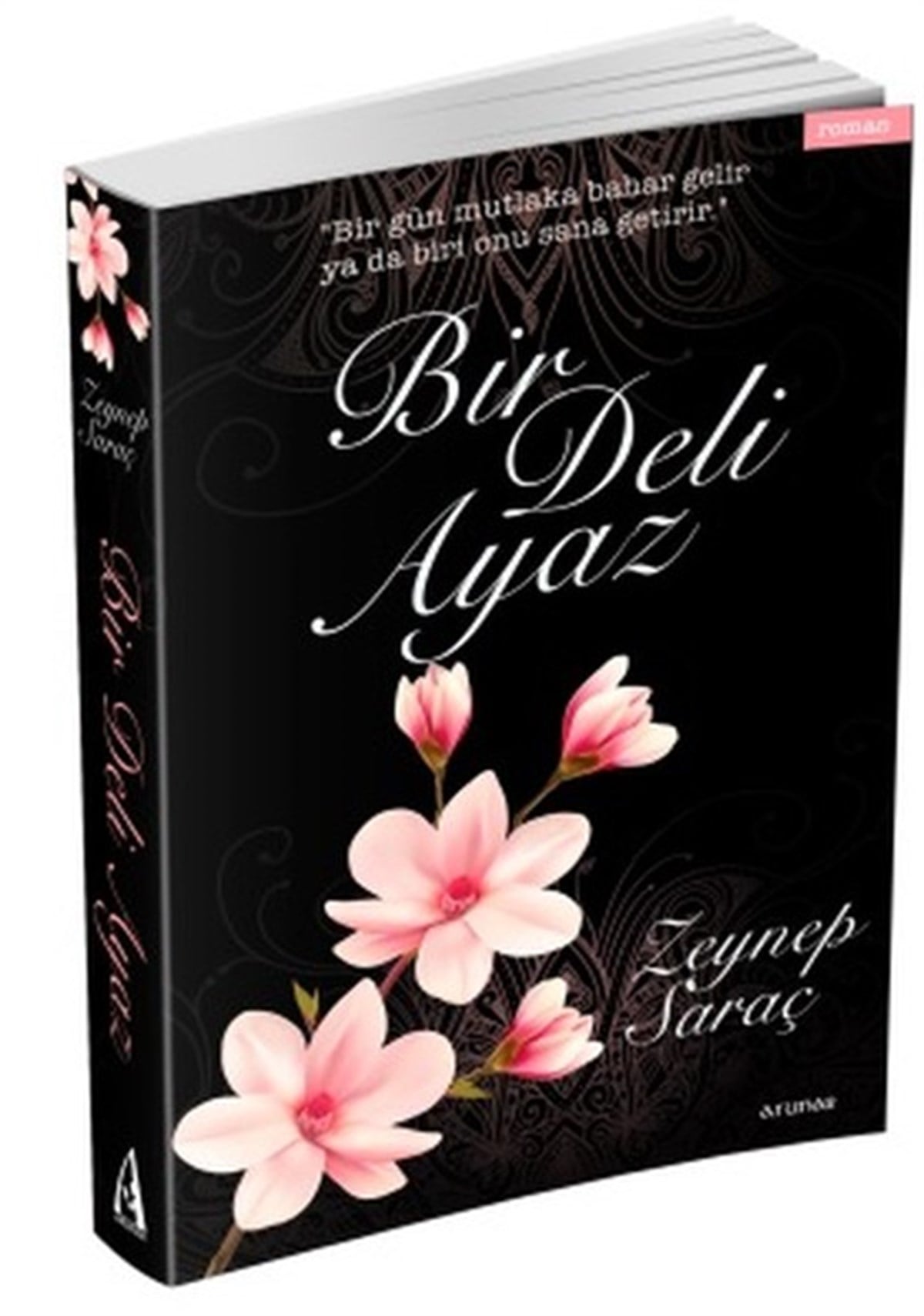 Zeynep SaraçTürkiye RomanBir Deli Ayaz