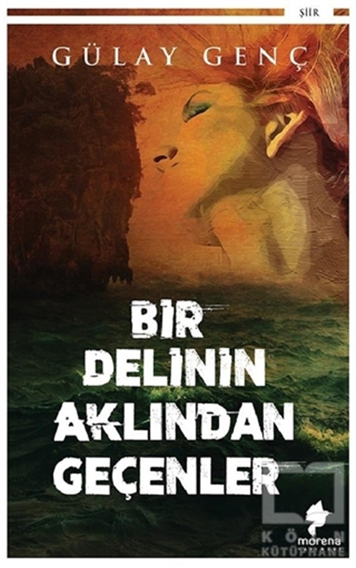 Gülay GençTürkçe Şiir KitaplarıBir Delinin Aklından Geçenler