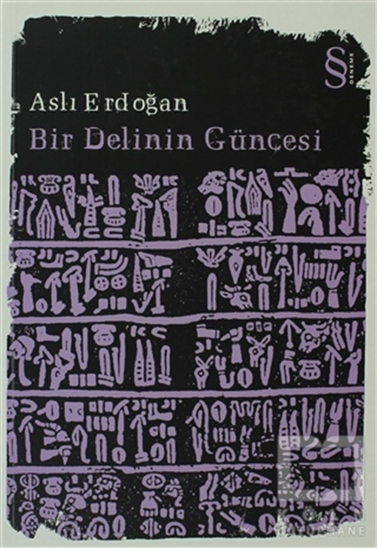 Aslı ErdoğanDenemeBir Delinin Güncesi