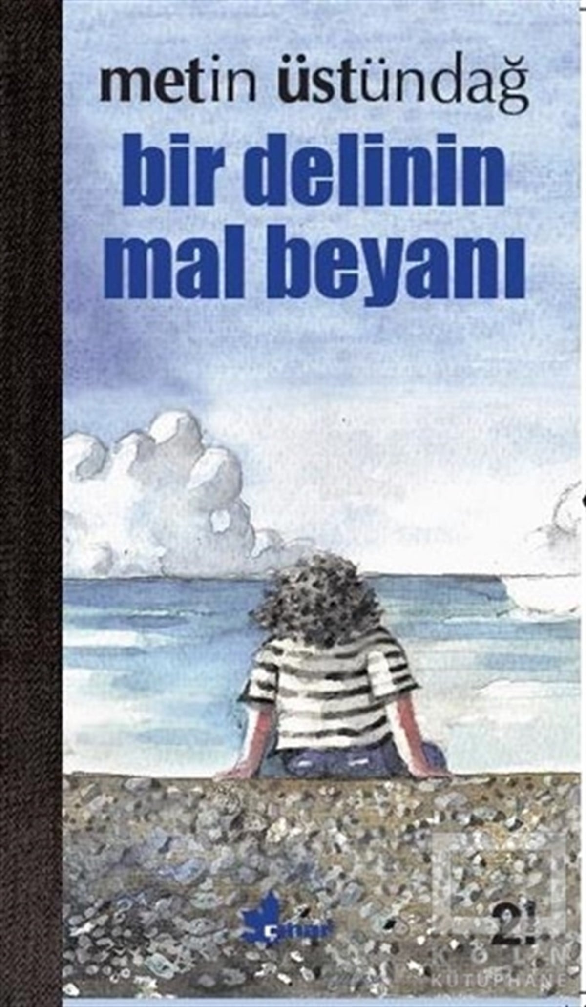 Metin ÜstündağMizahBir Delinin Mal Beyanı