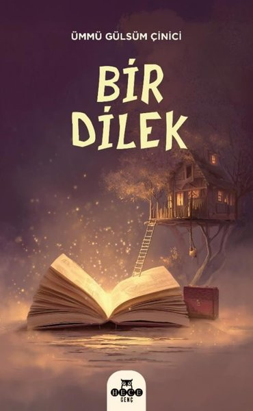 Ümmü Gülsüm ÇiniciTürk RomaniBir Dilek
