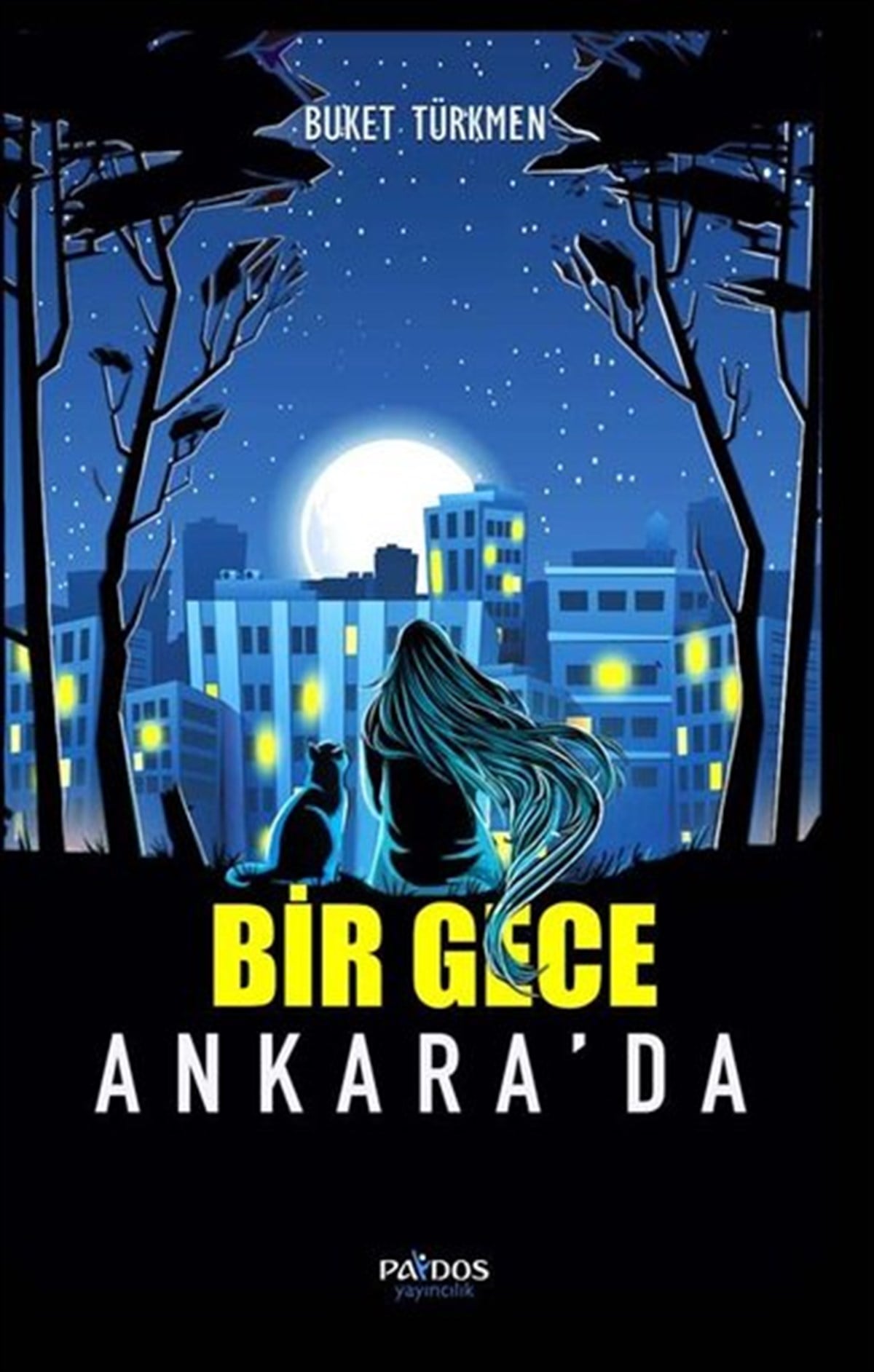 Buket TürkmenTürkiye RomanBir Gece Ankara'da