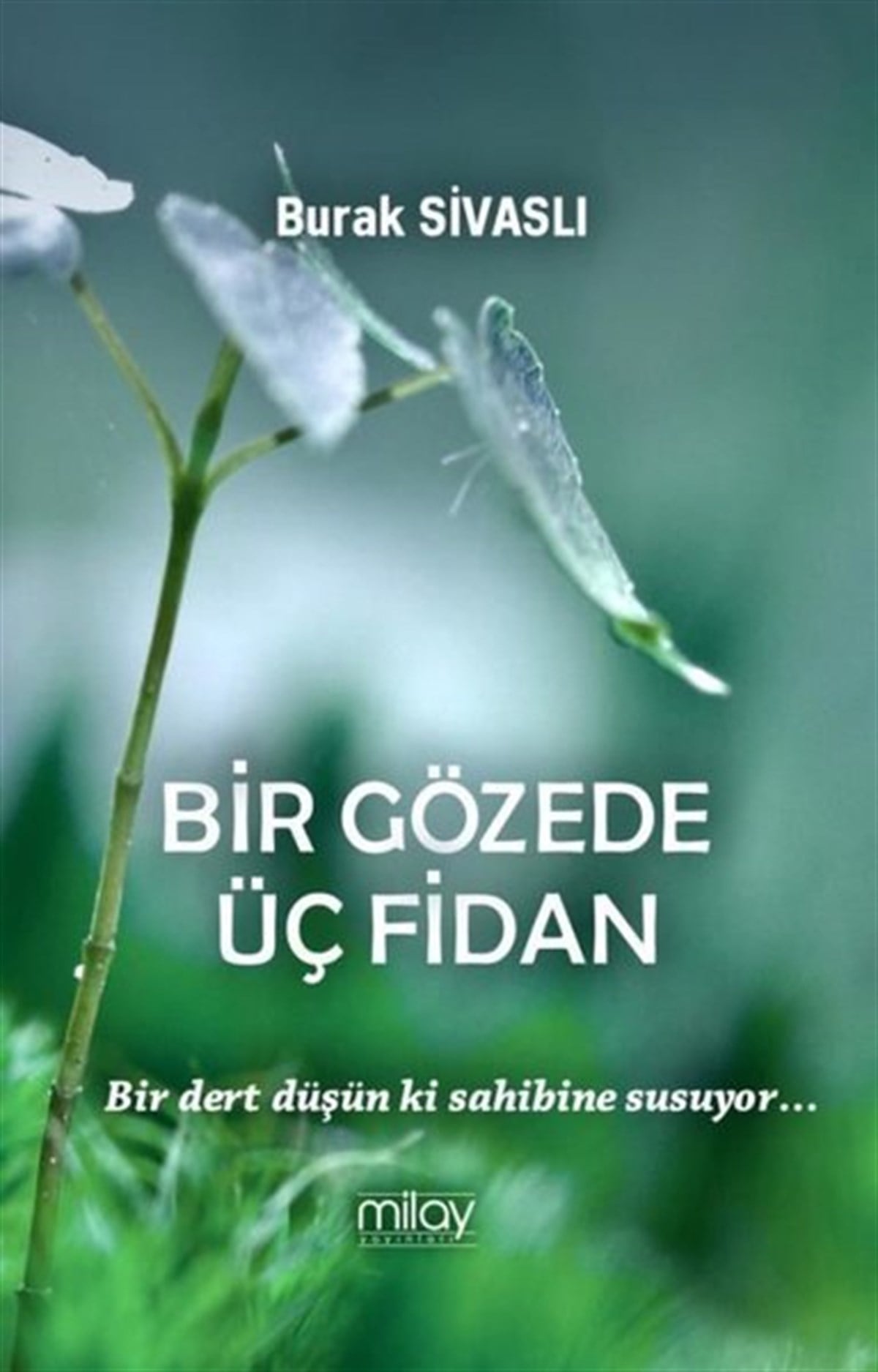 Burak SivaslıTürk ŞiiriBir Gözede Üç Fidan