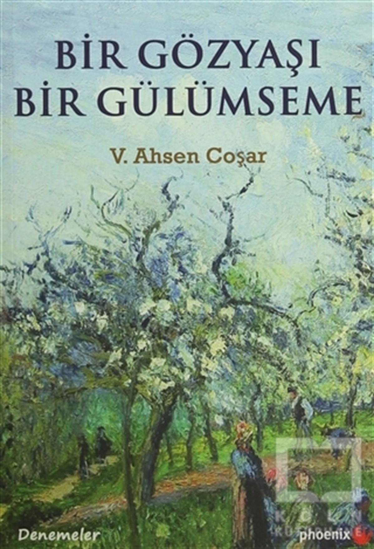 V. Ahsen CoşarDenemeBir Gözyaşı Bir Gülümseme