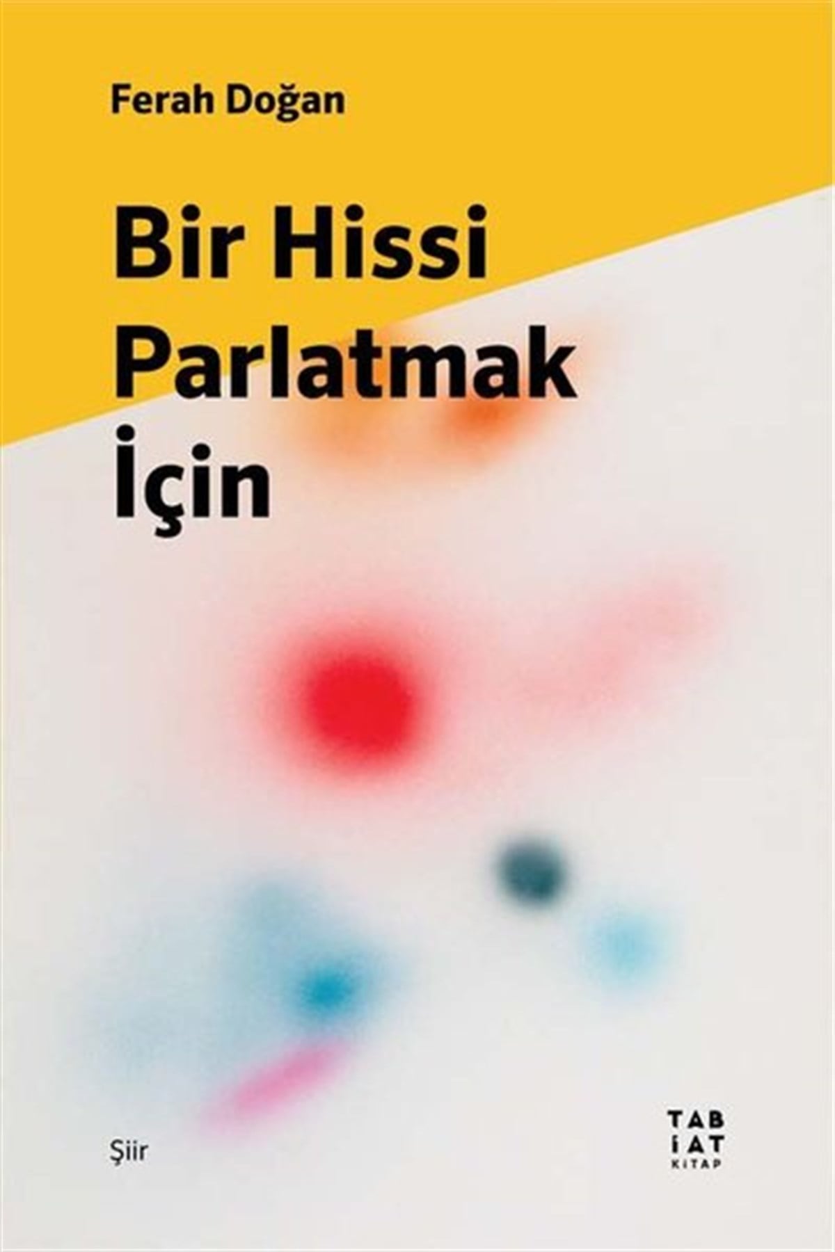 Ferah DoğanTürk ŞiiriBir Hissi Parlatmak