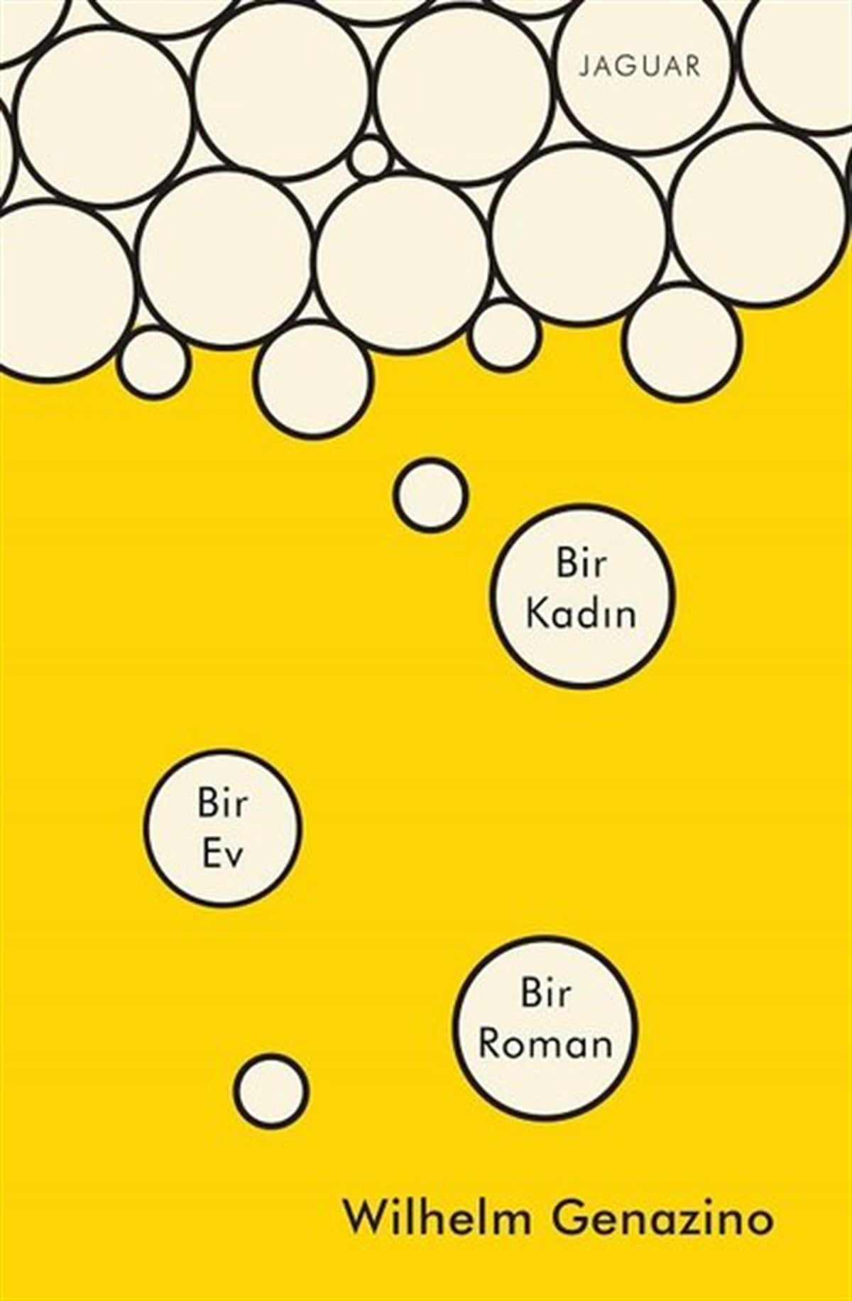 Wilhelm GenazinoDünya RomanBir Kadın Bir Ev Bir Roman