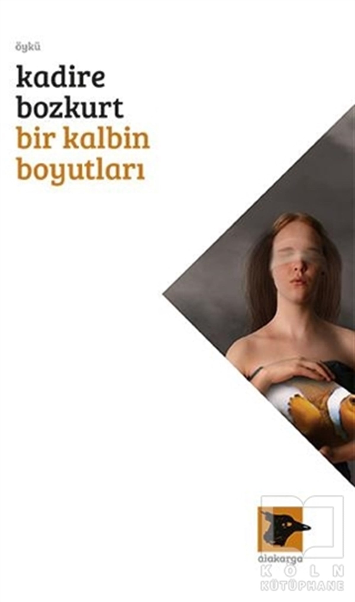 Kadire BozkurtÖyküBir Kalbin Boyutları