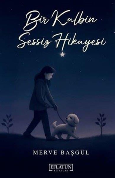 Merve BaşgülTürk RomaniBir Kalbin Sessiz Hikayesi