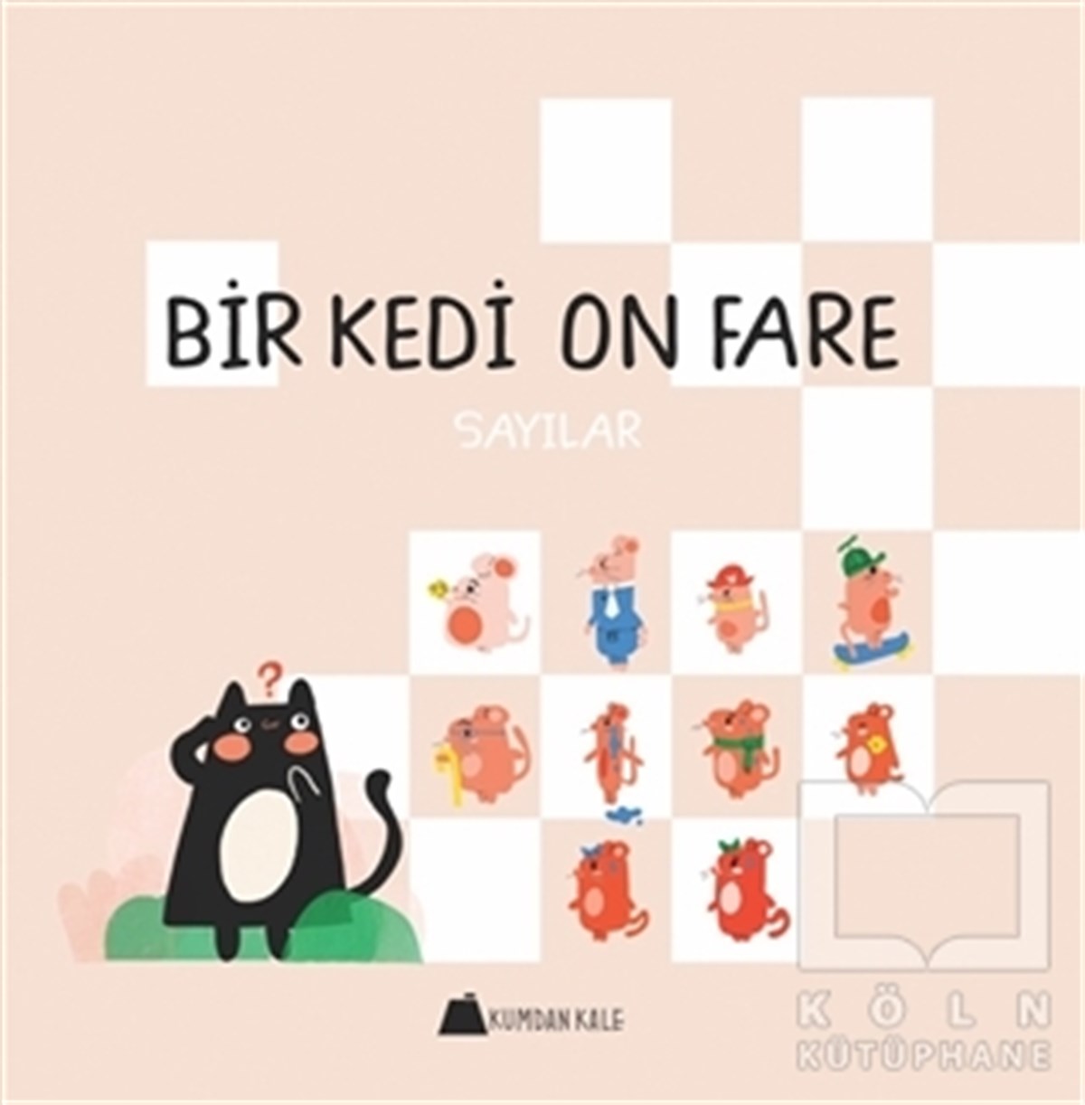 Duygu YardımcıOkul Öncesi Resimli KitaplarBir Kedi On Fare - Sayılar