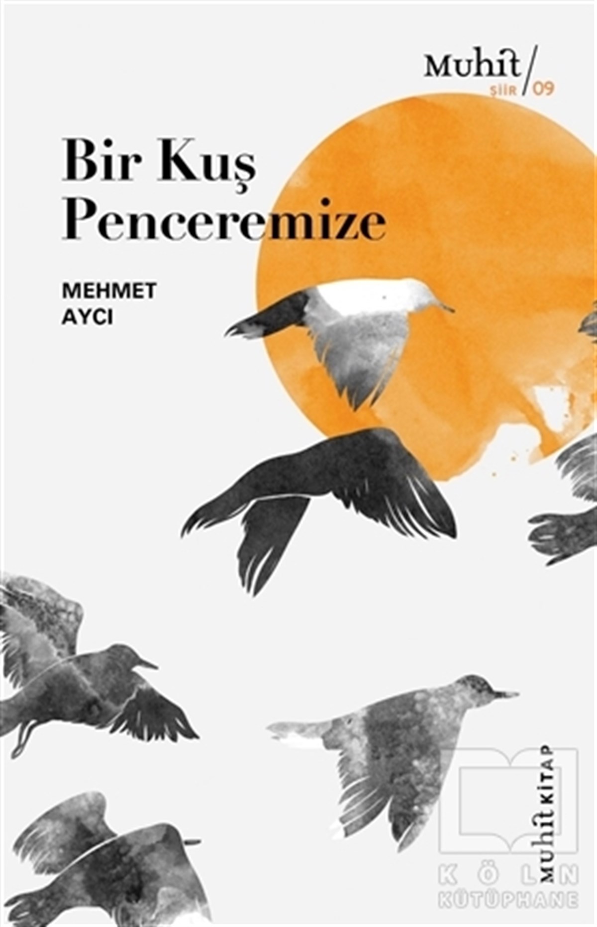 Mehmet AycıTürkçe Şiir KitaplarıBir Kuş Penceremize
