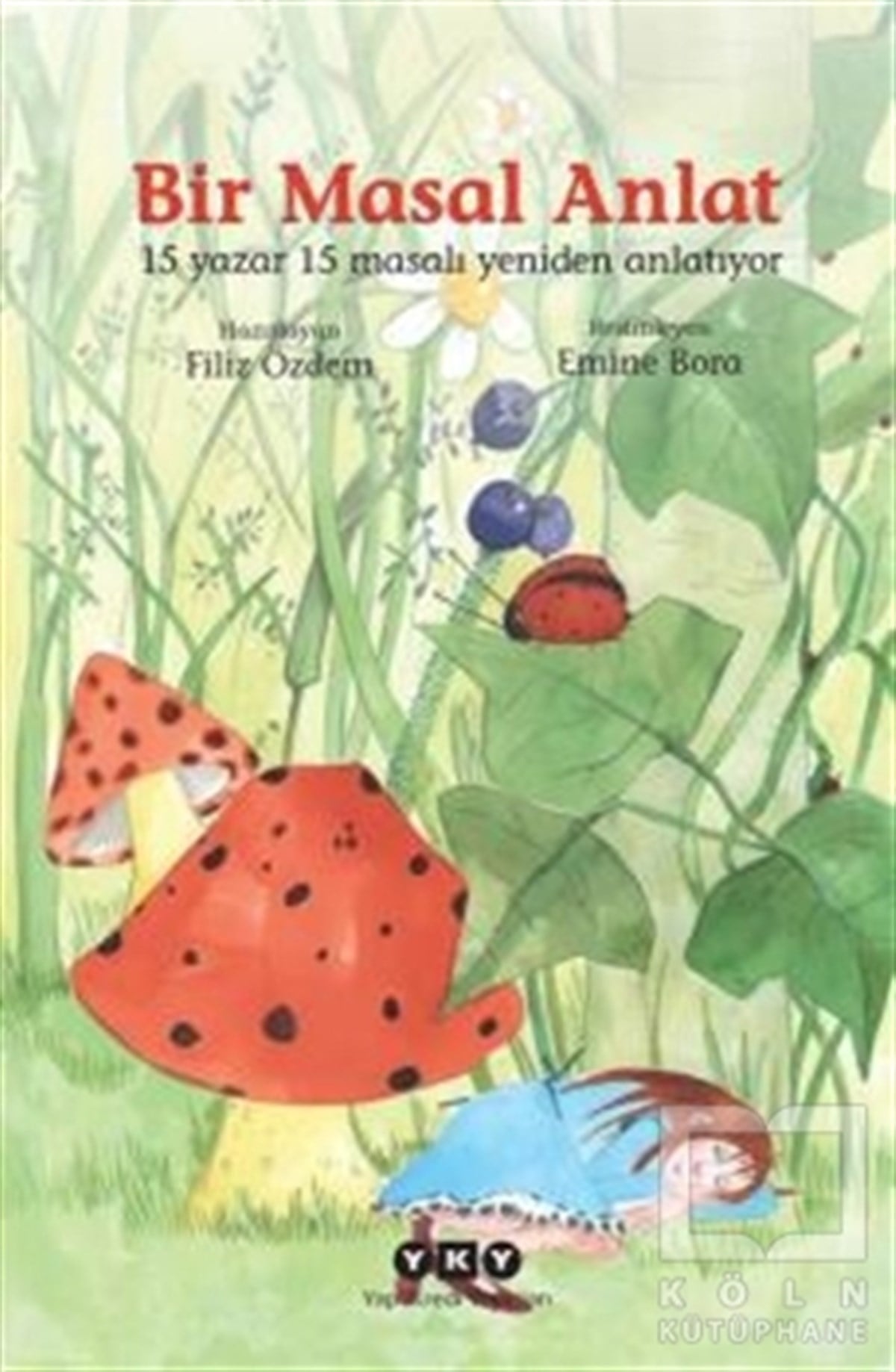 Faruk DumanTürk EdebiyatıBir Masal Anlat