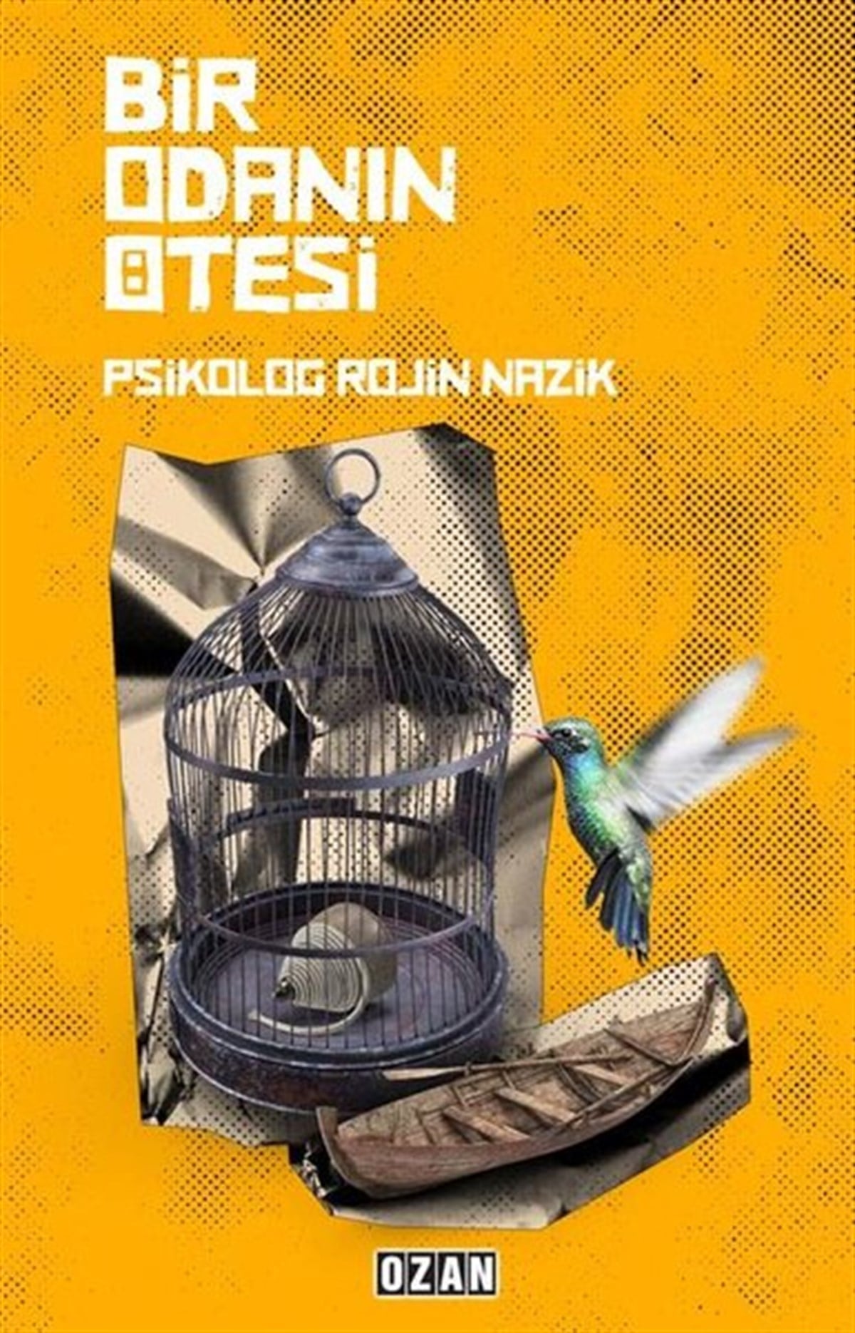 Rojin NazikPsikoloji BilimiBir Odanın Ötesi