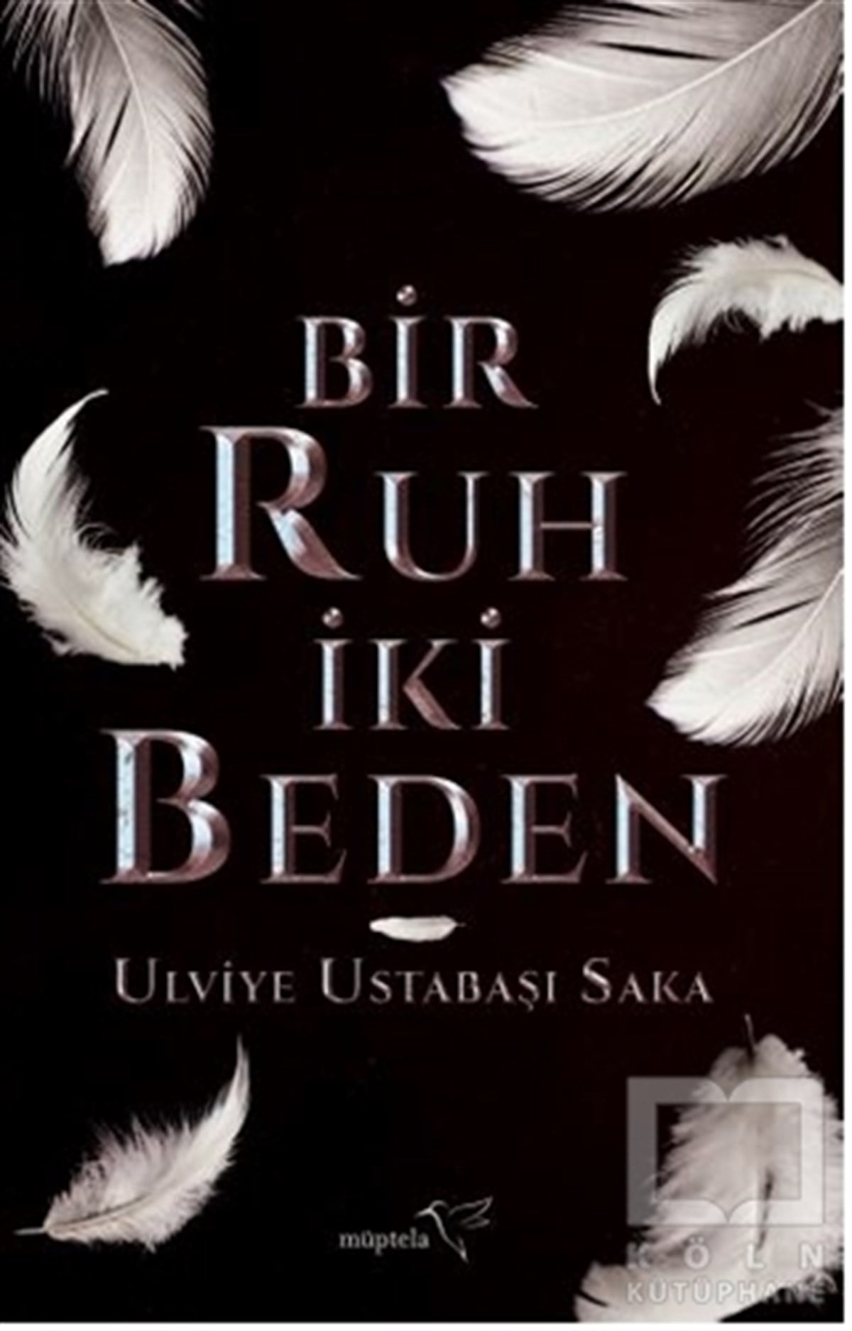 Ulviye Ustabaşı SakaFantastik Kitaplar & Fantastik RomanlarBir Ruh İki Beden