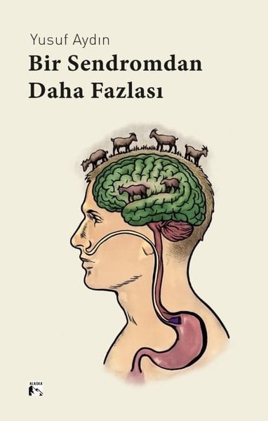 Yusuf AydınDünya RomanBir Sendromdan Daha Fazlası