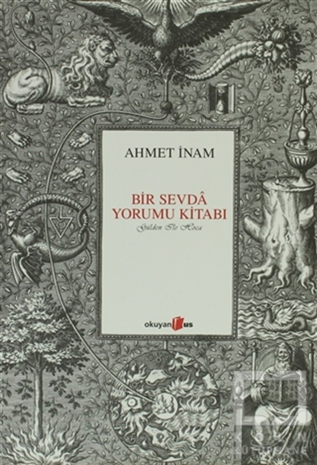 Ahmet İnamÖyküBir Sevda Yorumu Kitabı
