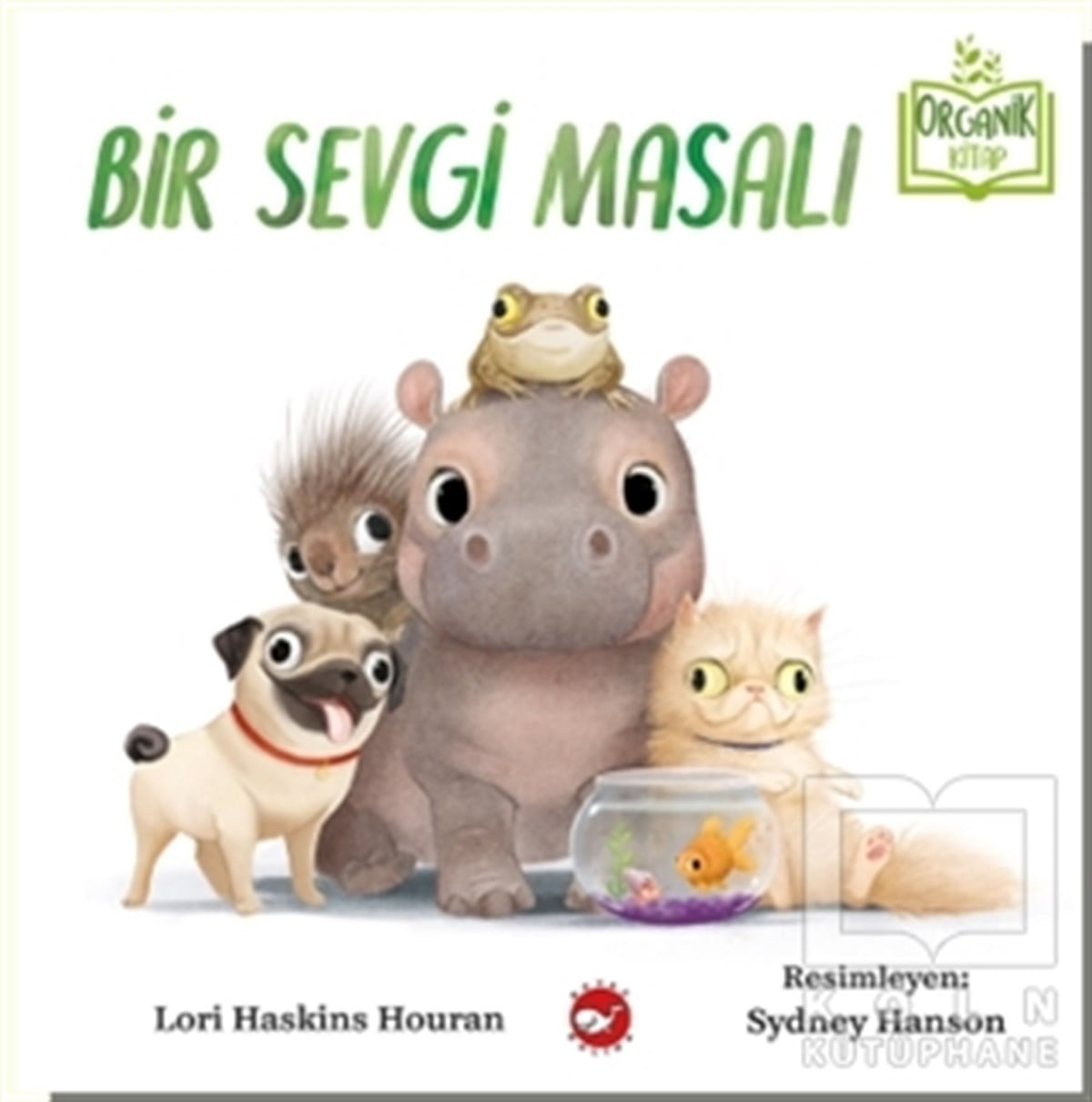 Lori Haskins HouranOkul Öncesi Resimli KitaplarBir Sevgi Masalı