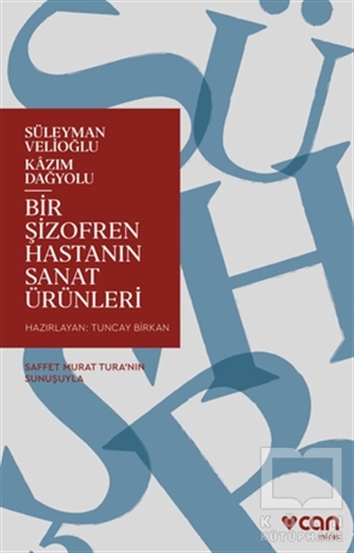 Süleyman VelioğluDeneme KitaplarıBir Şizofren Hastanın Sanat Ürünleri