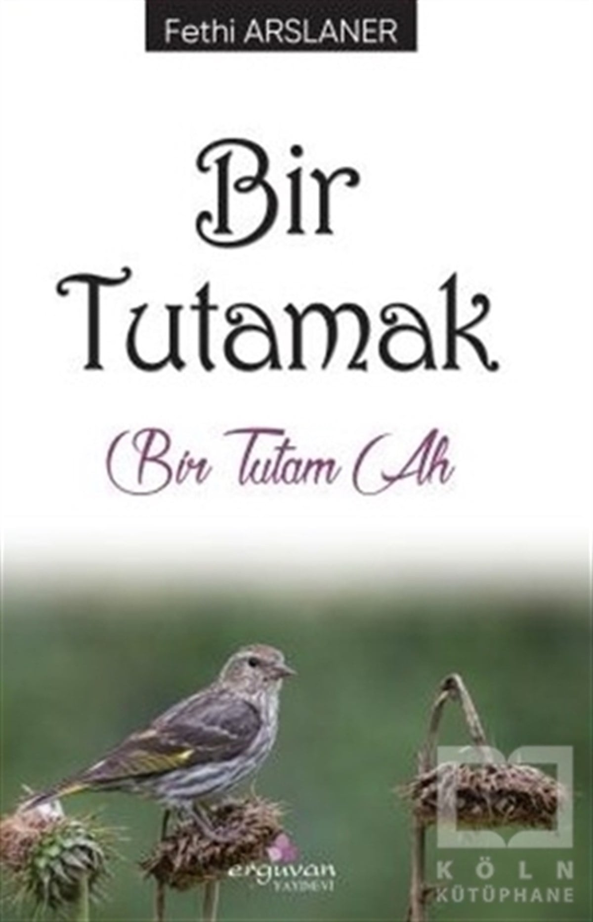 Fethi ArslanerDenemeBir Tutamak