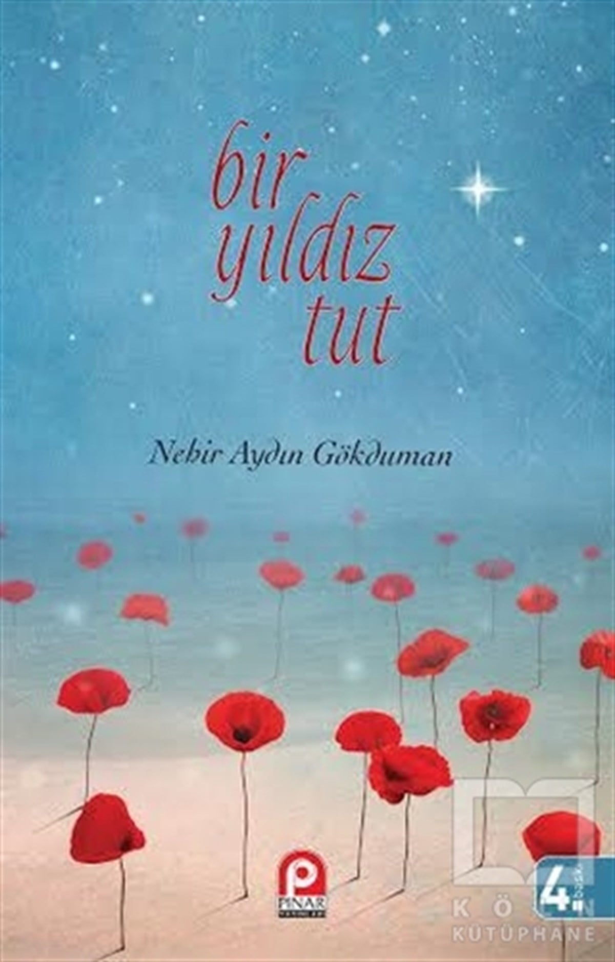 Nehir Aydın GökdumanÖyküBir Yıldız Tut
