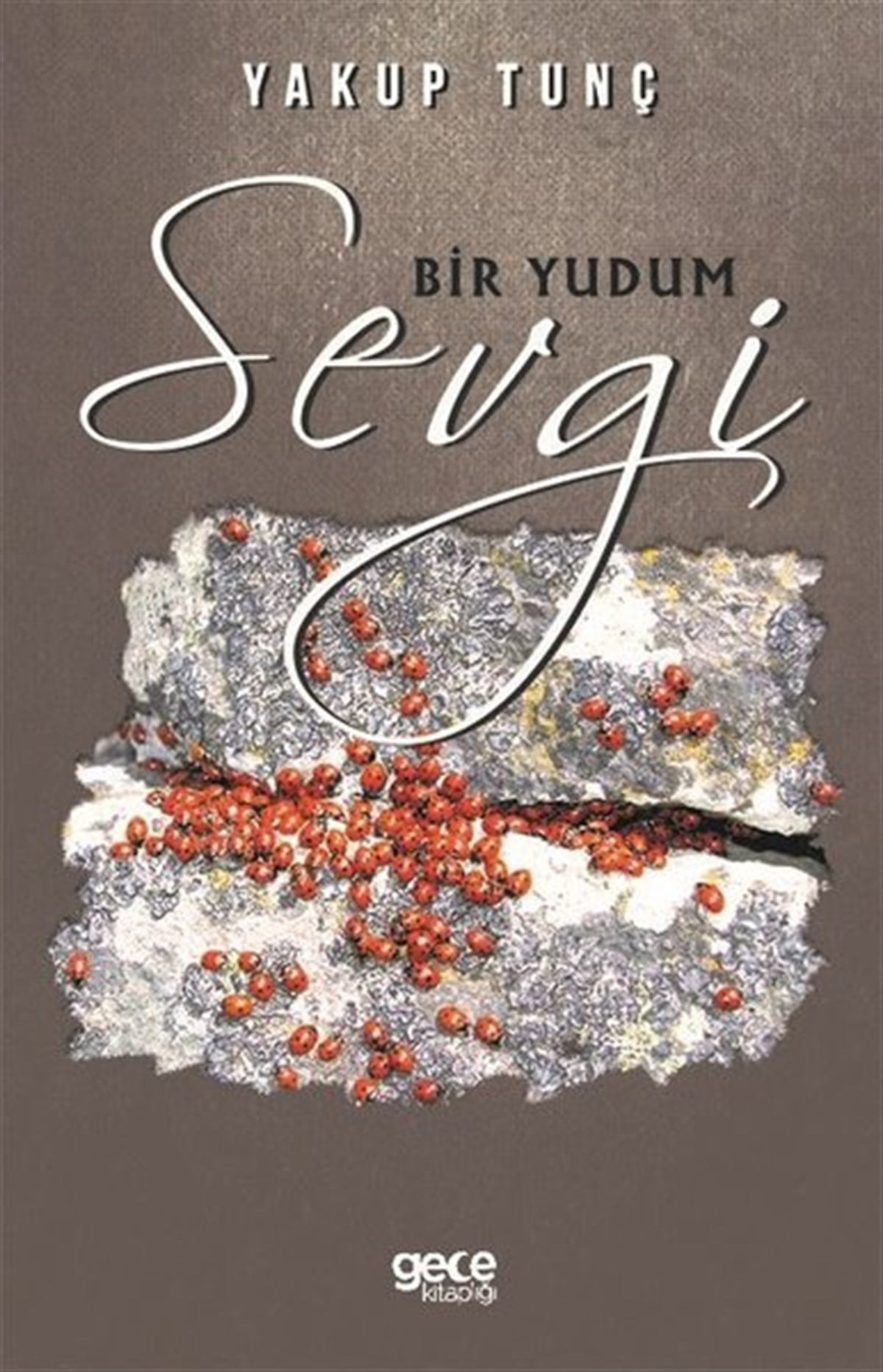 Yakup TunçTürk ŞiiriBir Yudum Sevgi