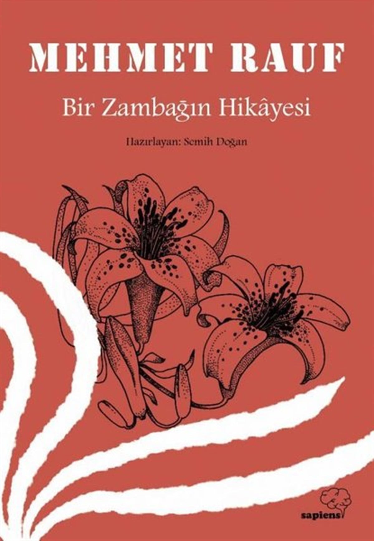 Mehmet RaufTürkiye RomanBir Zambağın Hikayesi