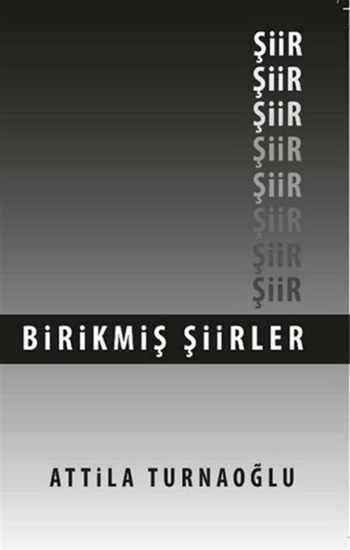 Atilla TurnaoğluTürk ŞiiriBirikmiş Şiirler