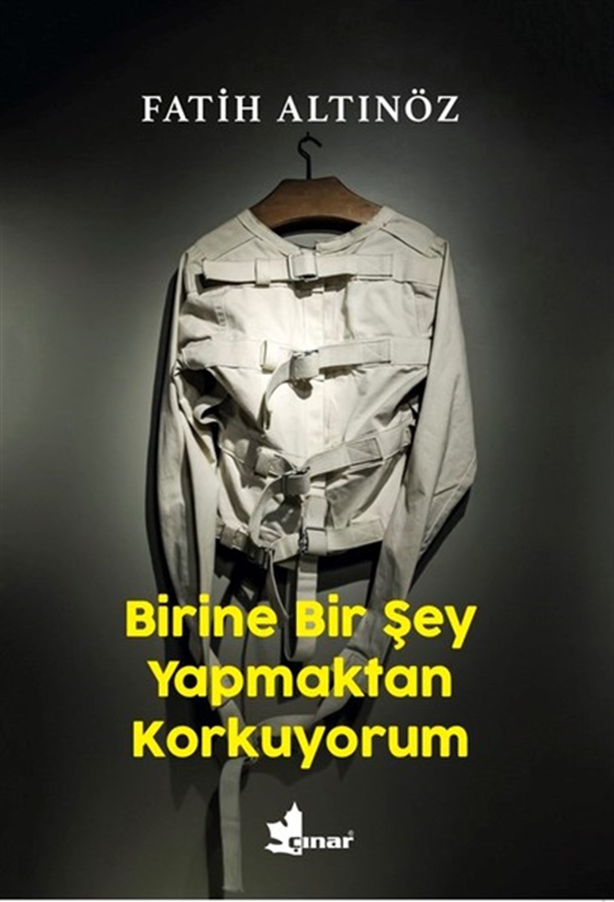 Fatih AltınözTürkiye RomanBirine Bir Şey Yapmaktan Korkuyorum