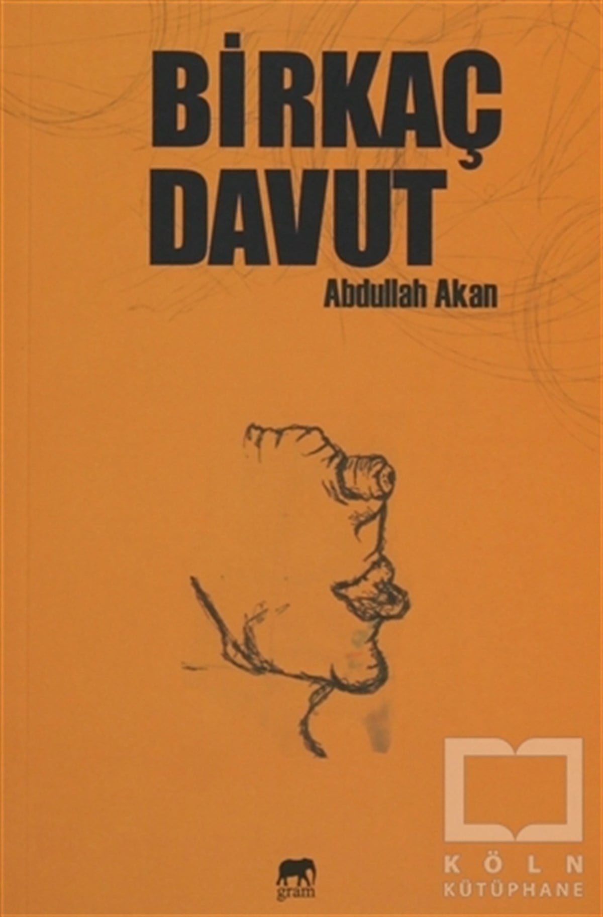 Abdullah AkanRomanBirkaç Davut