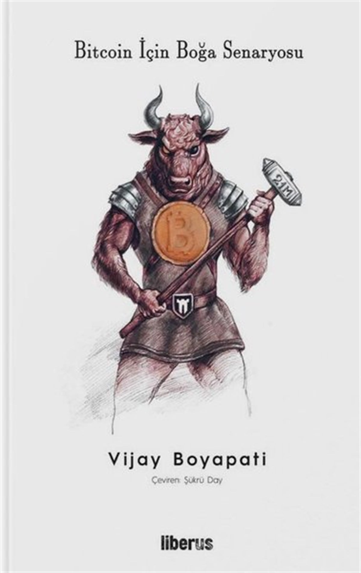 Vijay BoyapatiYönetim / İş Geliştirme / KaliteBitcoin İçin Boğa Senaryosu