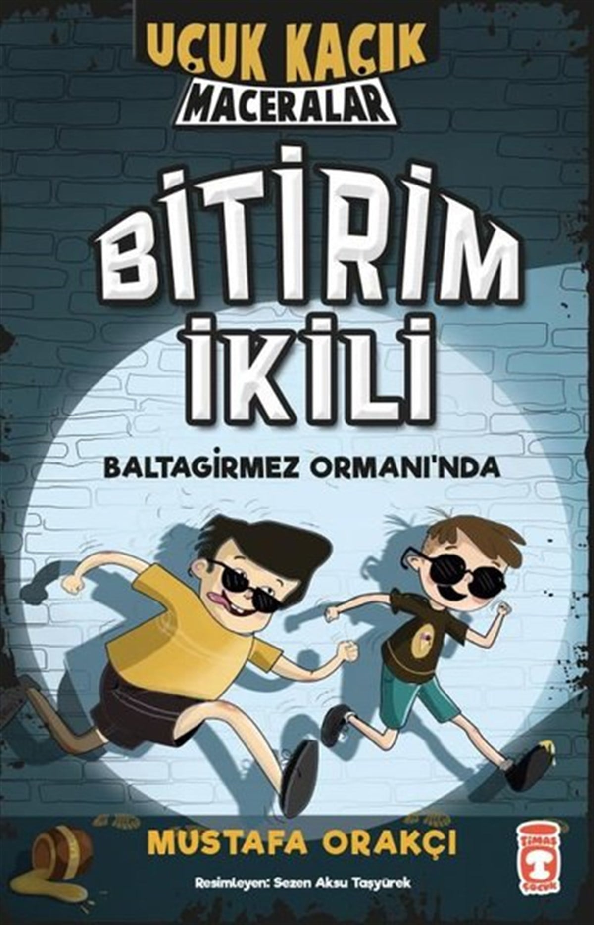 Mustafa OrakçıÇocuk Gençlik RomanlarıBitirim İkili Baltagirmez Ormanında