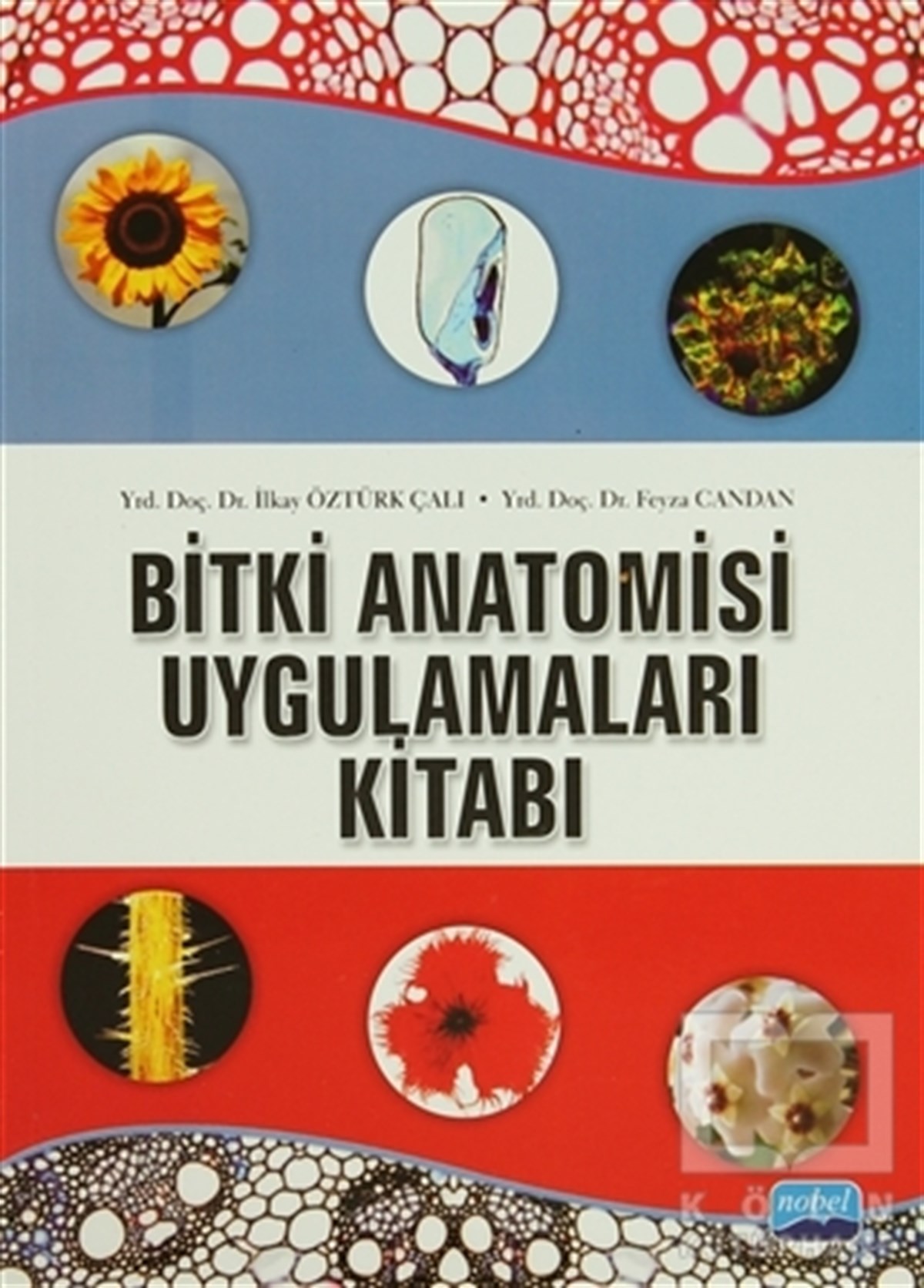 İlkay Öztürk ÇalıAkademikBitki Anatomisi ve Uygulamaları Kitabı