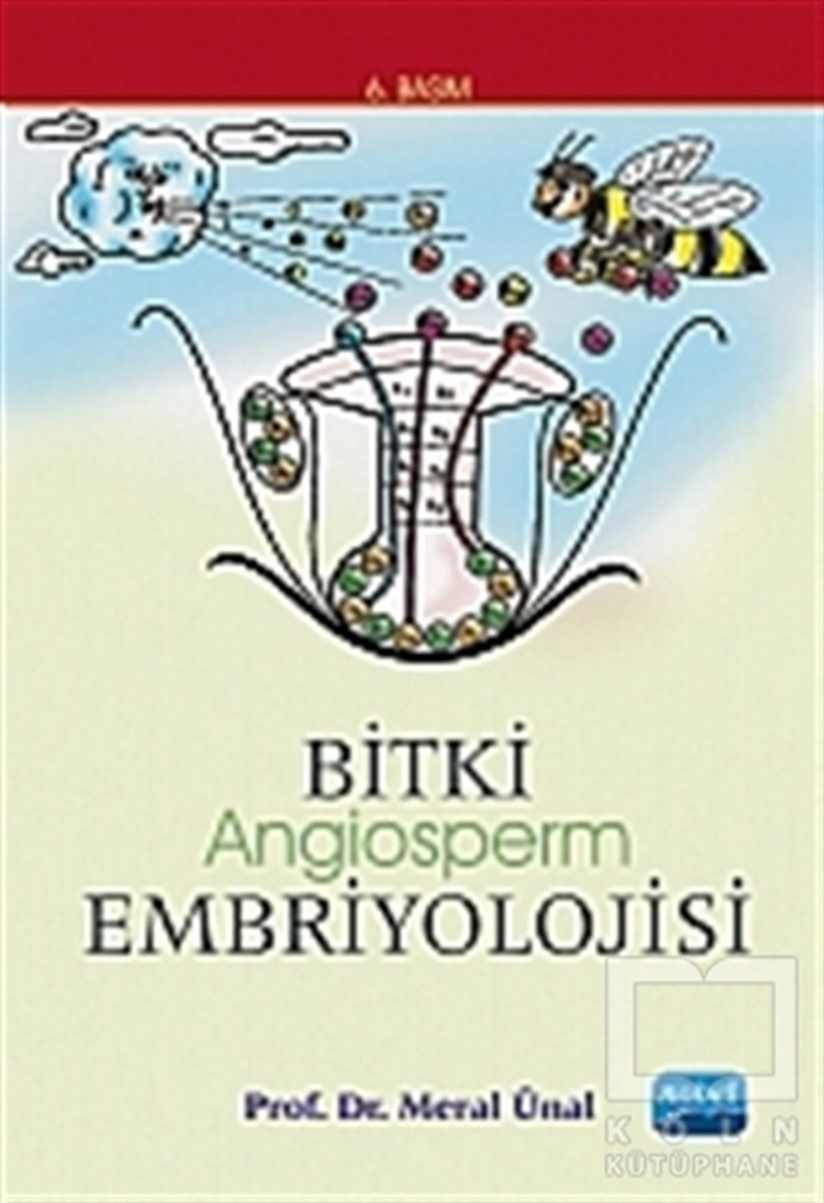 Meral ÜnalAkademikBitki Angiosperm Embriyolojisi