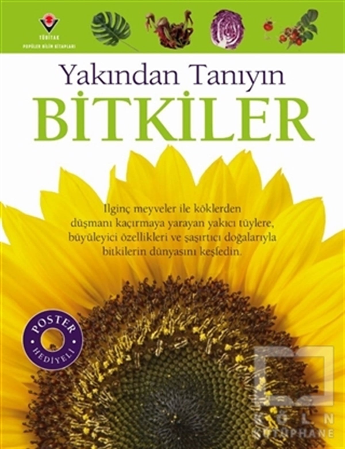 David BurnieBaşvuru KitaplarıBitkiler - Yakından Tanıyın