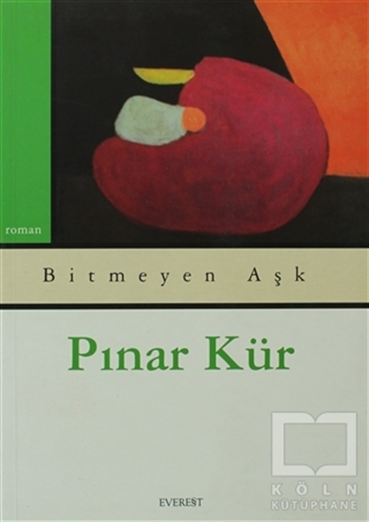 Pınar KürTürk EdebiyatıBitmeyen Aşk