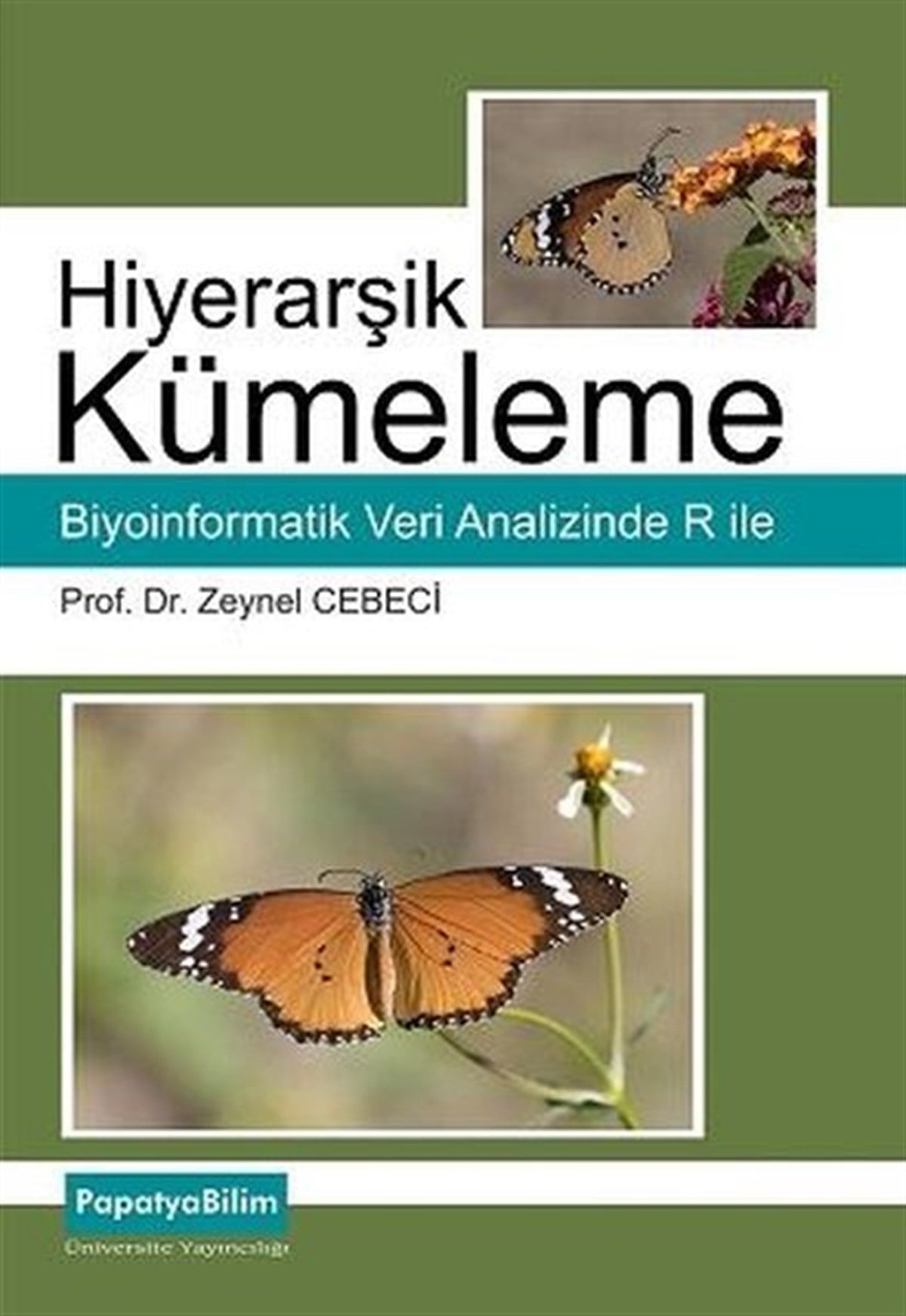 Zeynel CebeciEğitimBiyoenformatik Veri Analizinde R ile Hiyerarşik Kümeleme