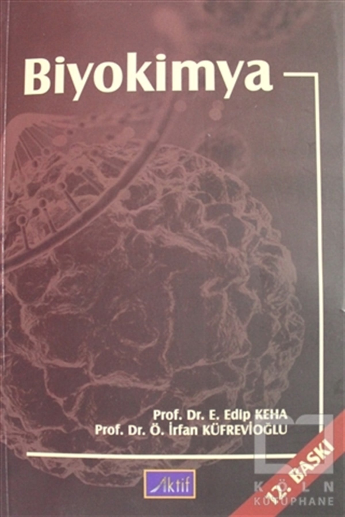 Edip KehaDiğerBiyokimya