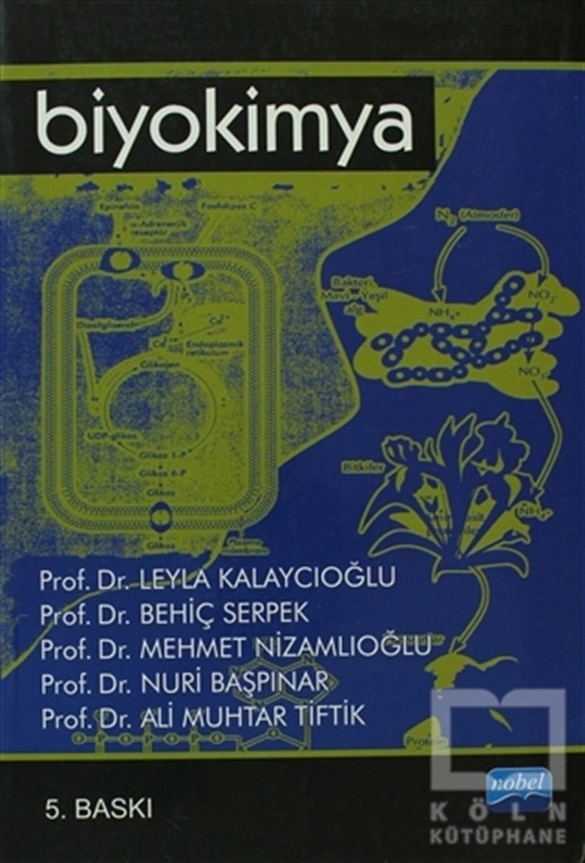 Leyla KalaycıoğluAkademikBiyokimya