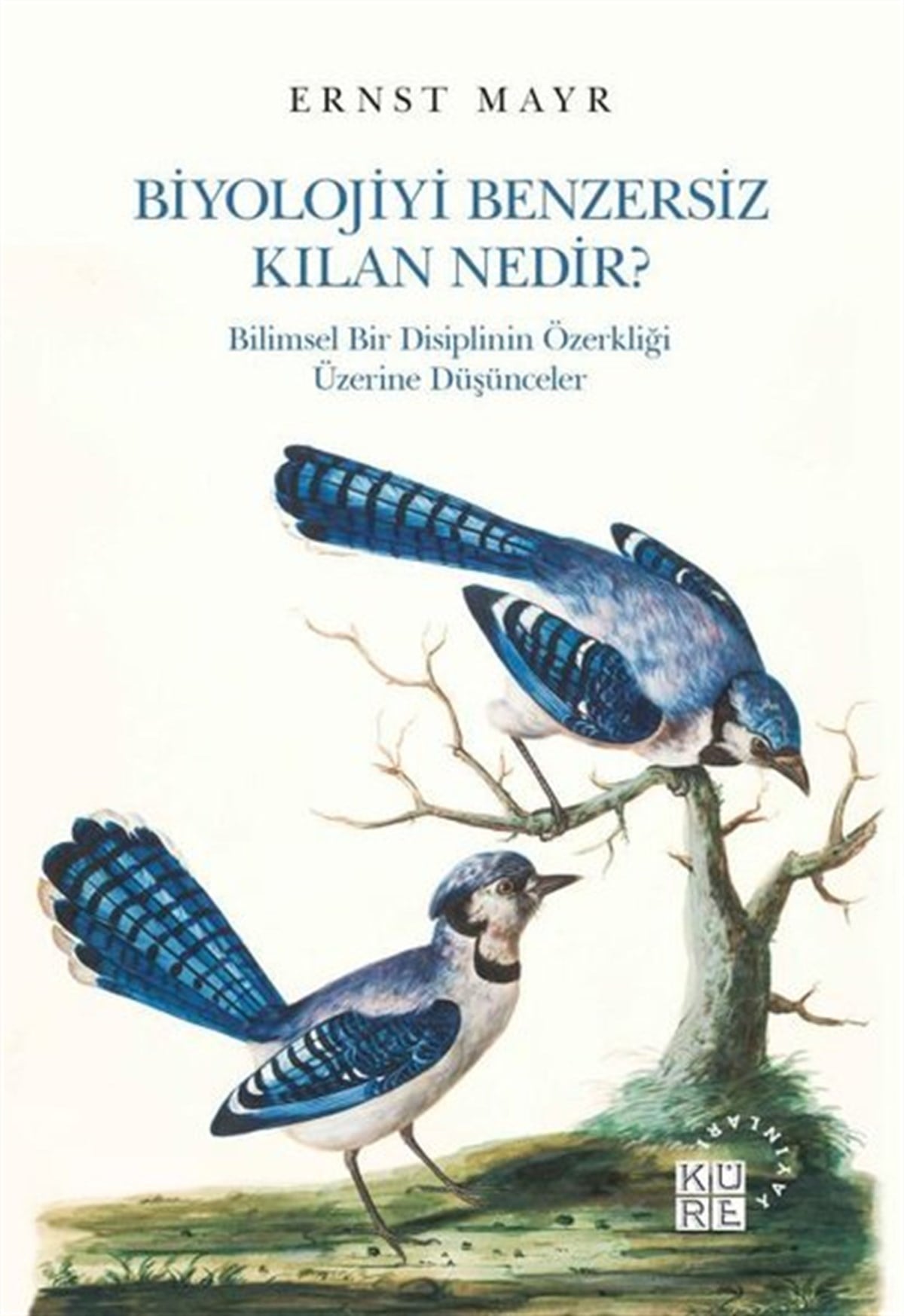 Ernst MayrBiyolojiBiyolojiyi Benzersiz Kılan Nedir?