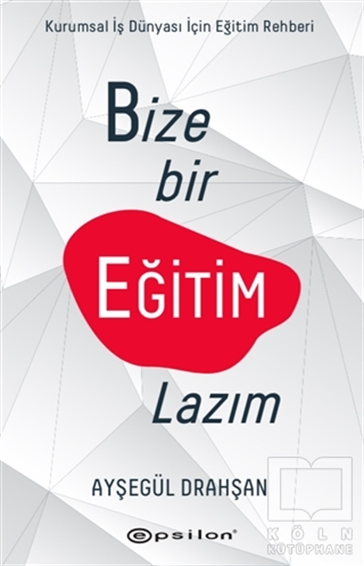 Ayşegül Drahşanİş DünyasıBize Bir Eğitim Lazım