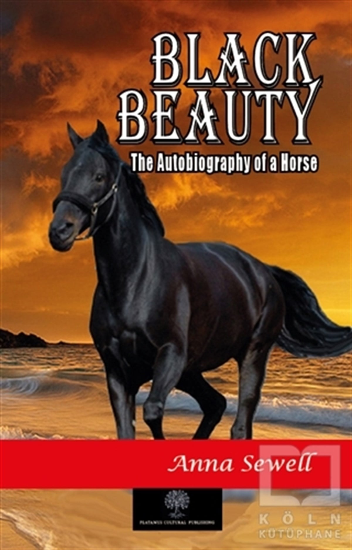 Anna SewellTürkçe RomanlarBlack Beauty