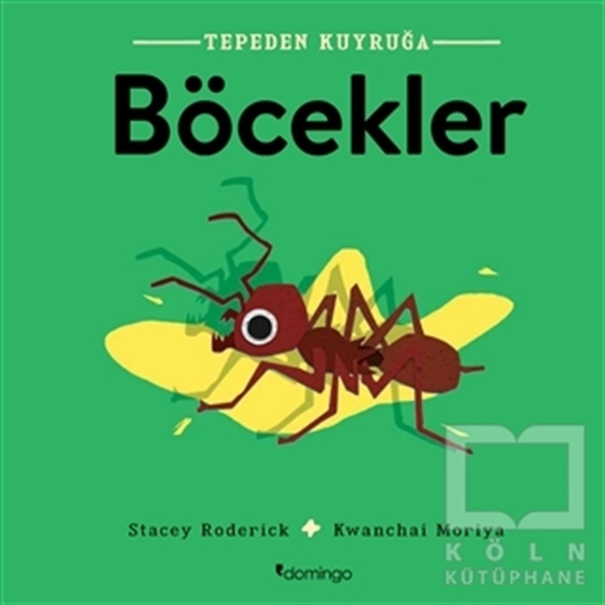 Stacey RoderickOkul Öncesi Resimli KitaplarBöcekler - Tepeden Kuyruğa