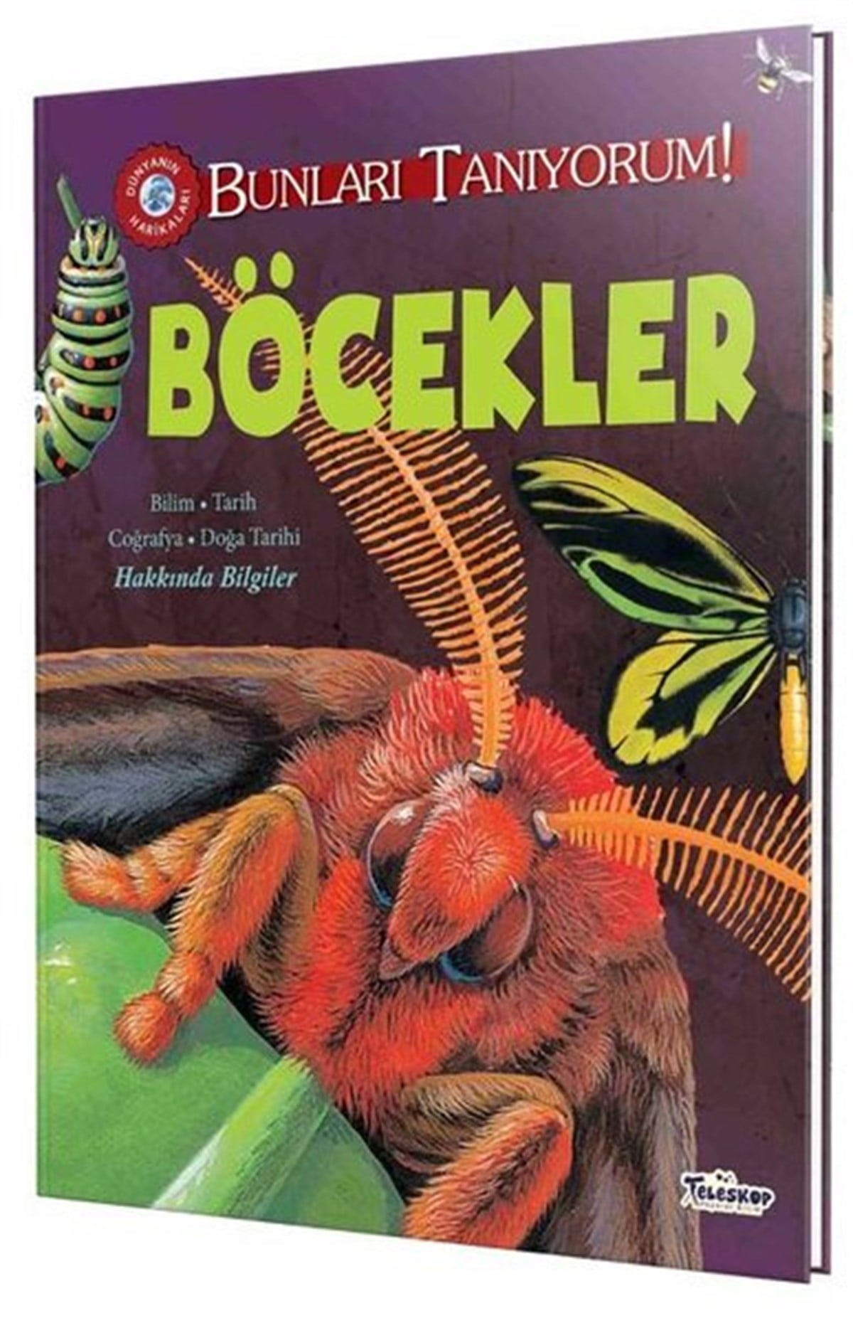 Jane ParkerÇocuk Bilim KitaplarıBöcekler - Bunları Tanıyorum!