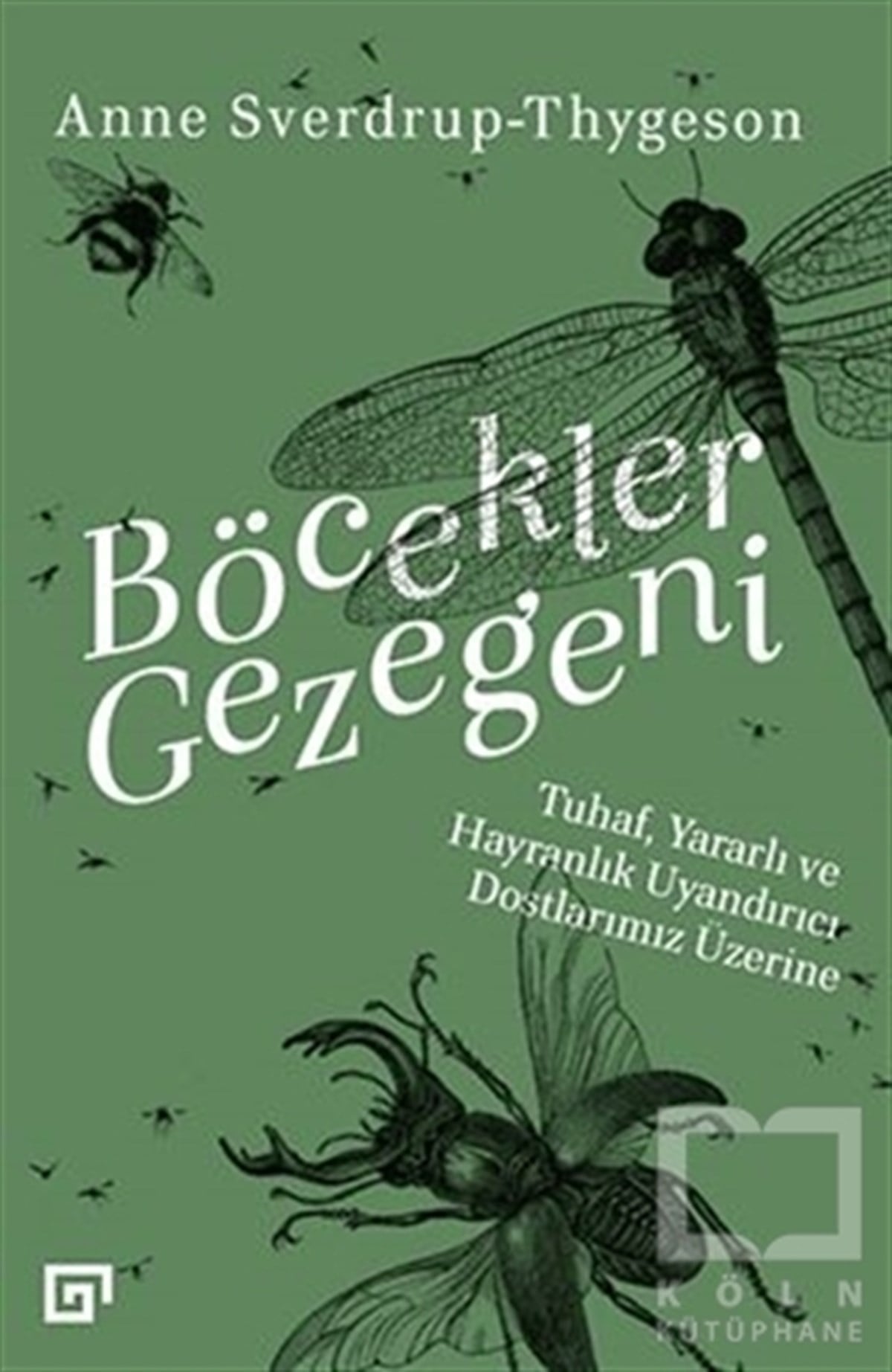 Anne Sverdrup ThygesonPopüler Bilim KitaplarıBöcekler Gezegeni