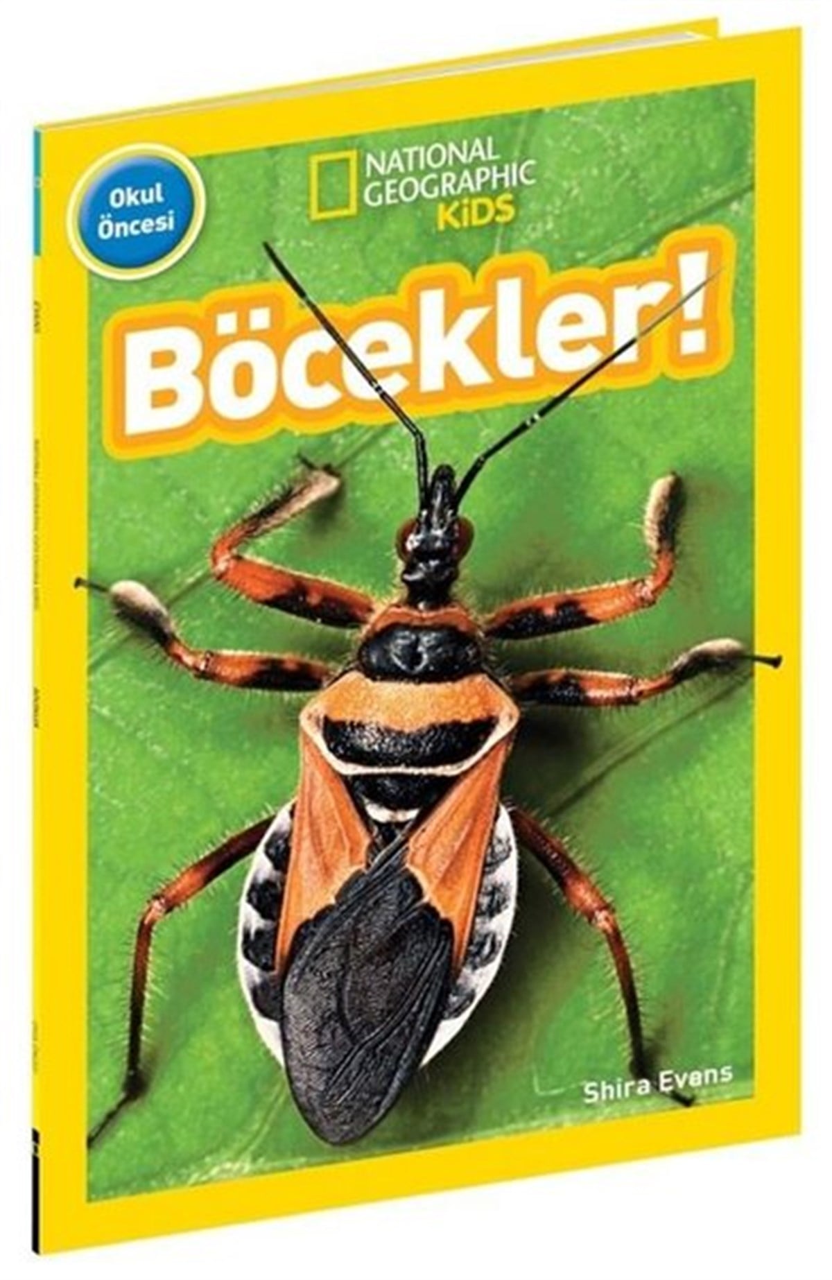Shira EvansÇocuk Bilim KitaplarıBöcekler! National Geographic Kids - Okul Öncesi