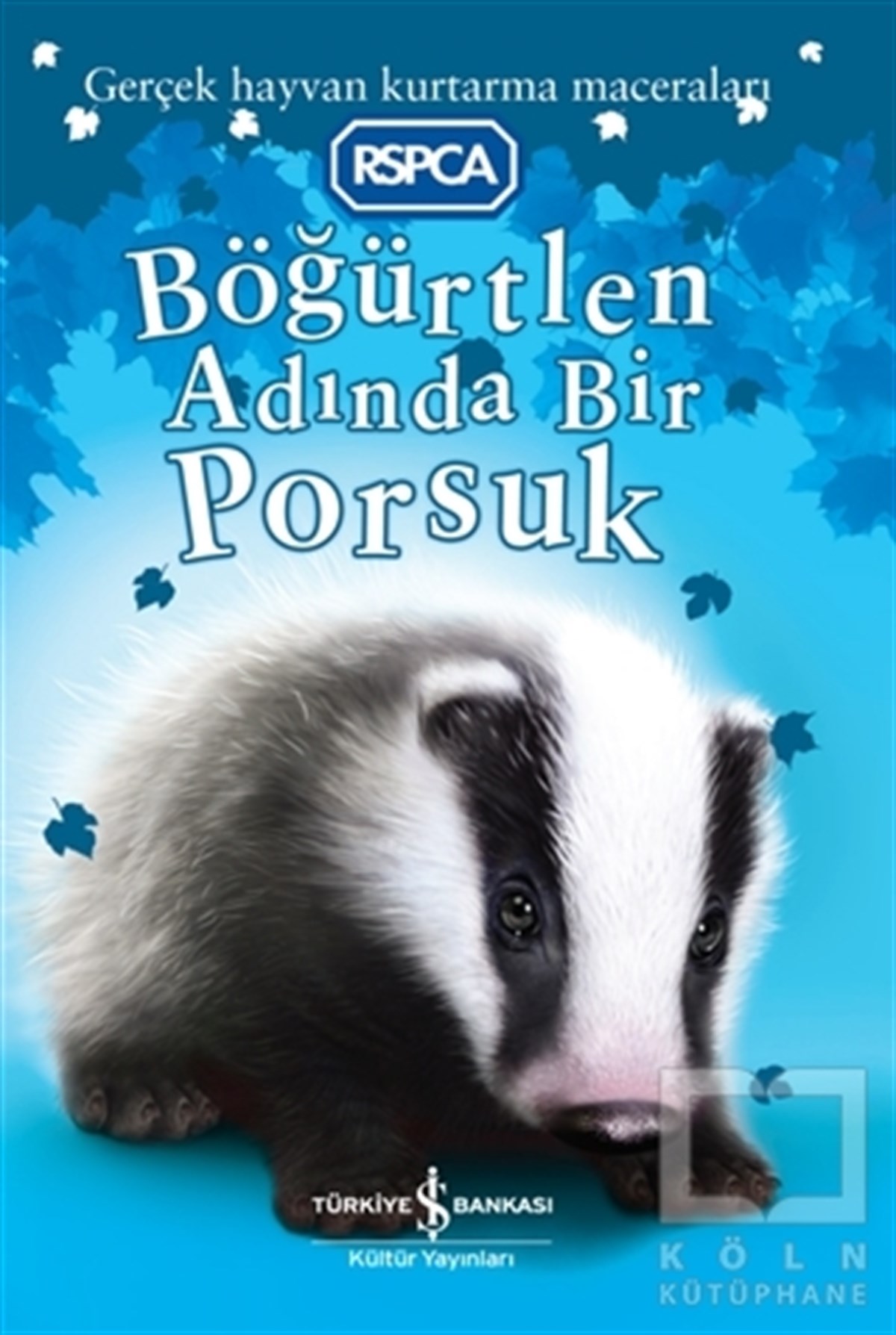 Sarah HawkinsÇocuk Hikaye KitaplarıBöğürtlen Adında Bir Porsuk