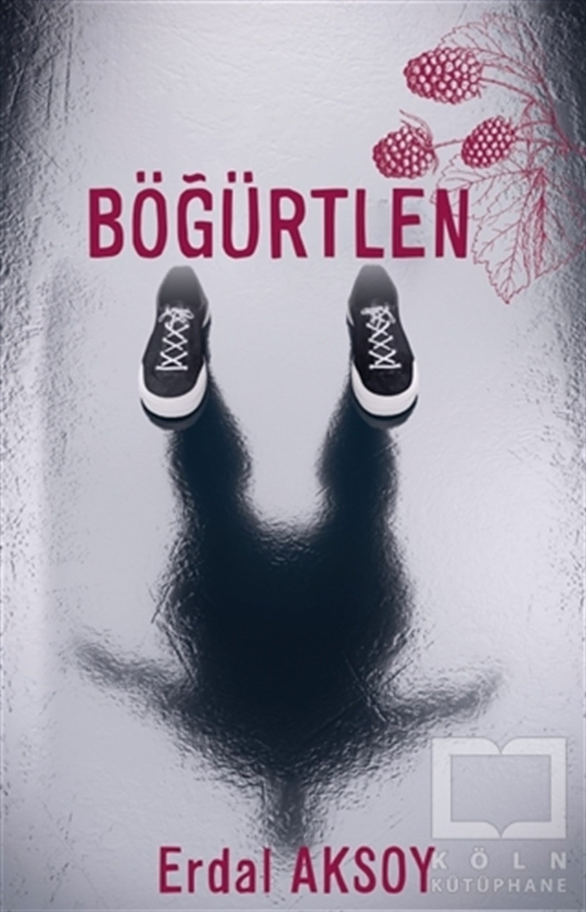 Erdal AksoyHikaye (Öykü) KitaplarıBöğürtlen