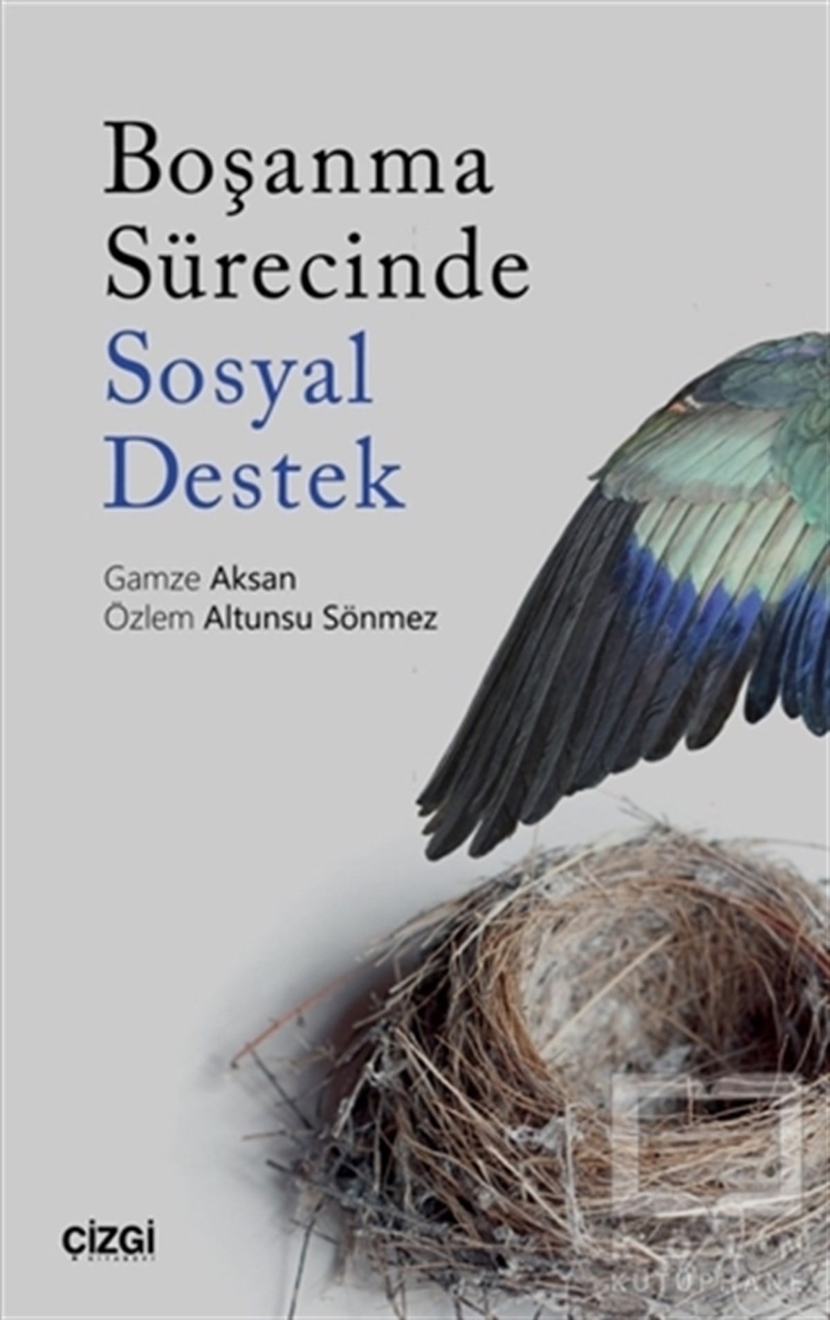 Özlem Altunsu SönmezAile ve ÇocukBoşanma Sürecinde Sosyal Destek