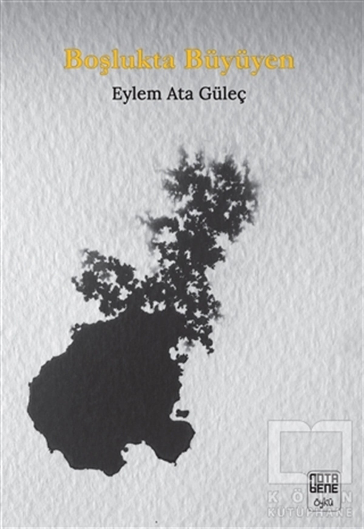 Eylem Ata GüleçÖyküBoşlukta Büyüyen