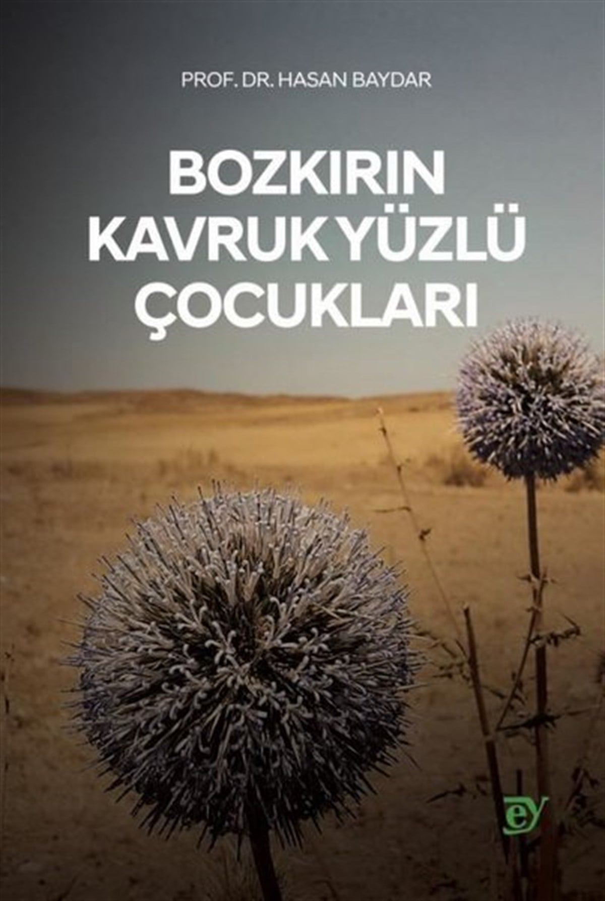Hasan BaydarTürkiye RomanBozkırın Kavruk Yüzlü Çocukları