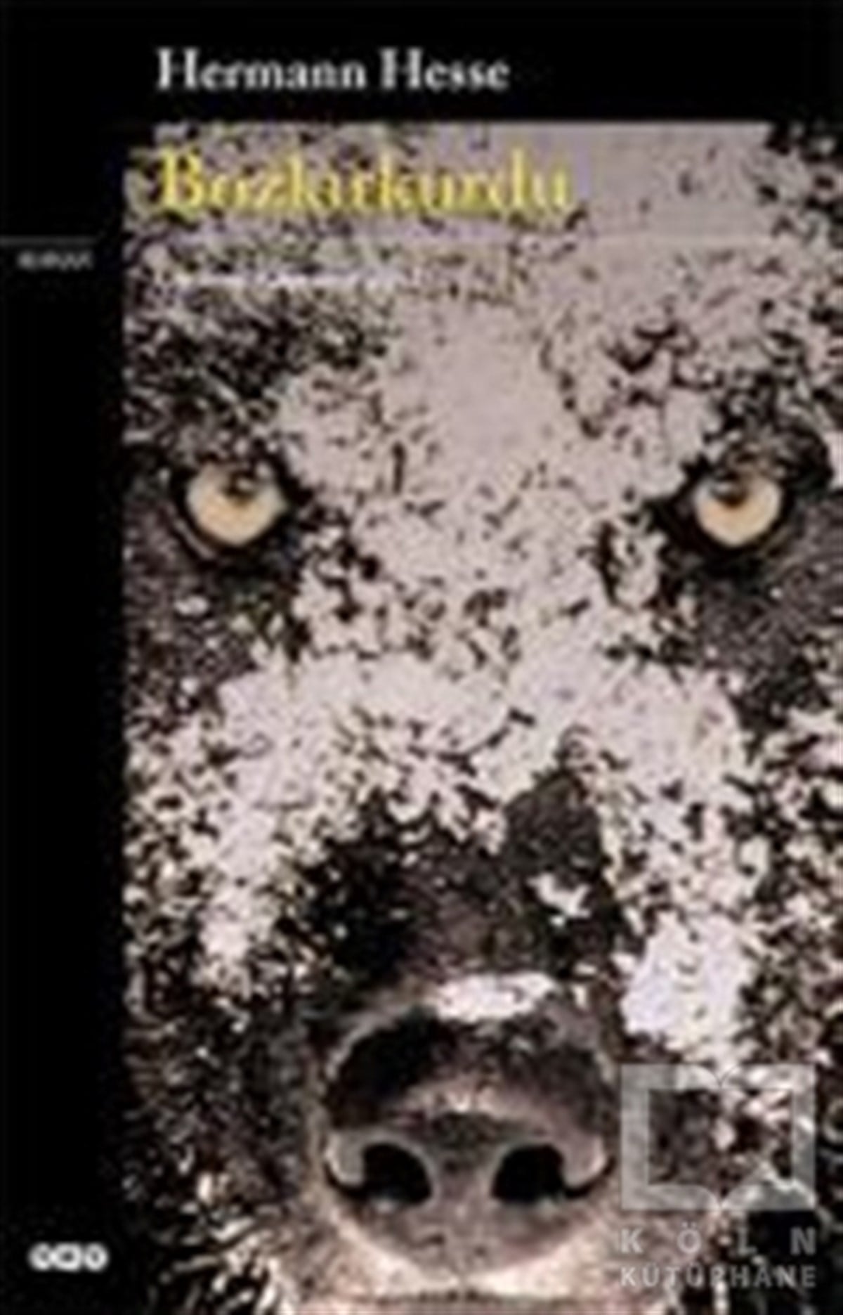 Hermann HesseAlman EdebiyatıBozkırkurdu